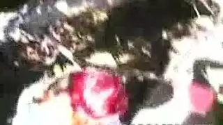 احدث موقع اباحي