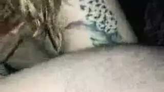 الهرة مشعر سيجارة المداعبة