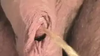 نساء ناضجات فرنسيات مشعرات إكس إكس إكس رجعية