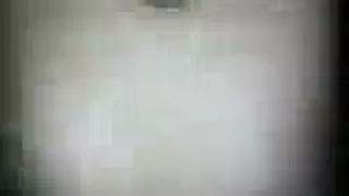 الكلبة عشاق لعبة ضخمة