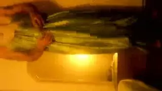 اخوات مصري جرجس حقيقي